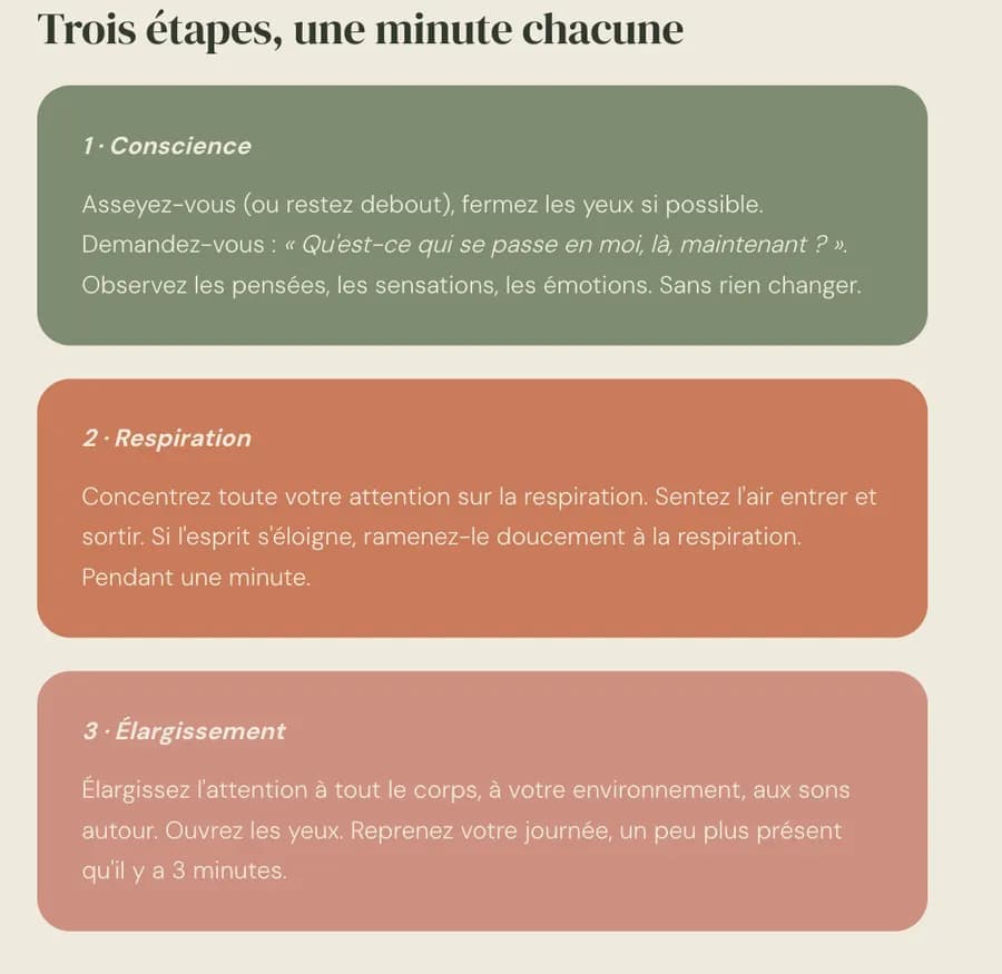 Trois blocs de couleur publiés dans l'article, sauge, terracotta et argile : Conscience, Respiration, Élargissement, une minute chacun.
