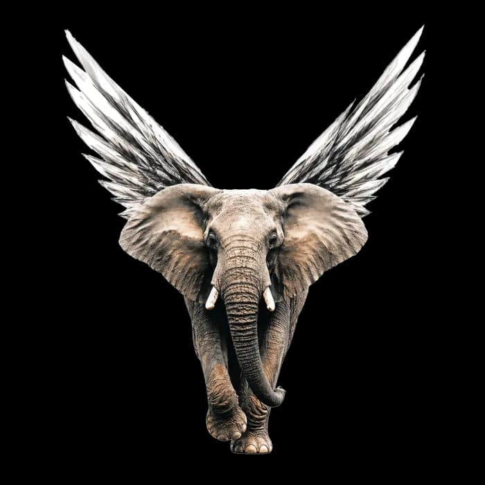 Éléphant ailé, signature Positionnement
